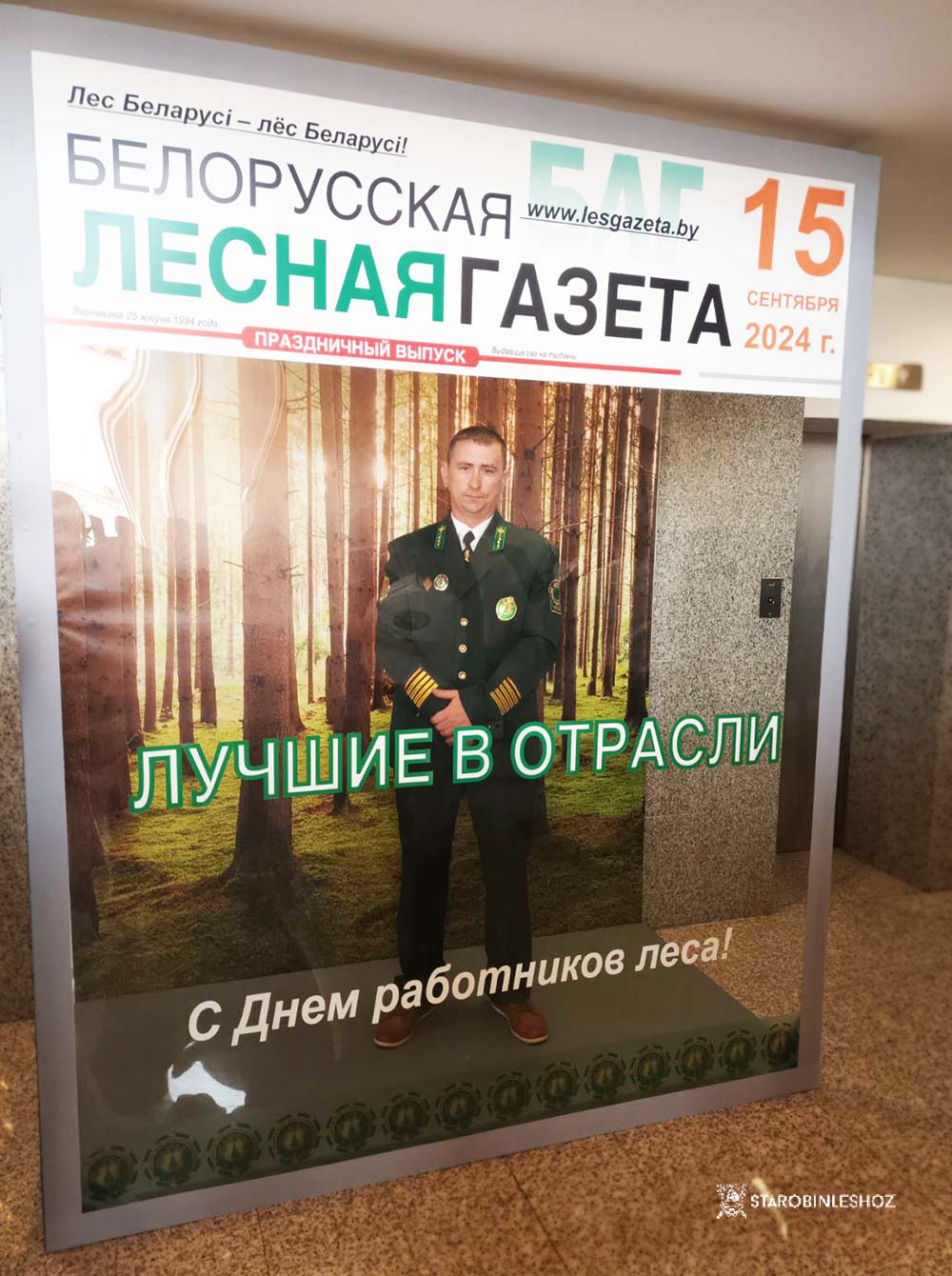 День работников леса