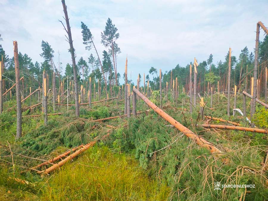 О РАЗРАБОТКЕ БУРЕЛОМОВ И НЕ ТОЛЬКО