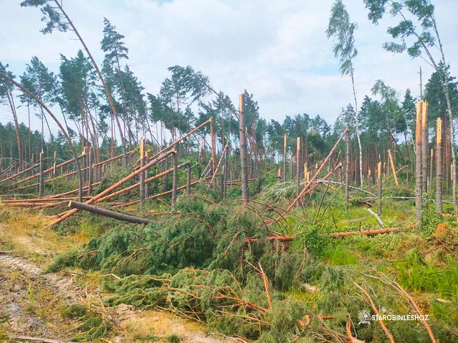 ПОМОЩЬ КОЛЛЕГАМ