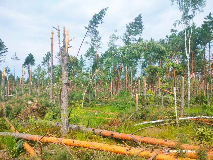 ПОМОЩЬ КОЛЛЕГАМ