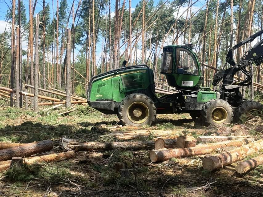 УСТРАНЕНИЕ ПОСЛЕДСТВИЙ НЕПОГОДЫ