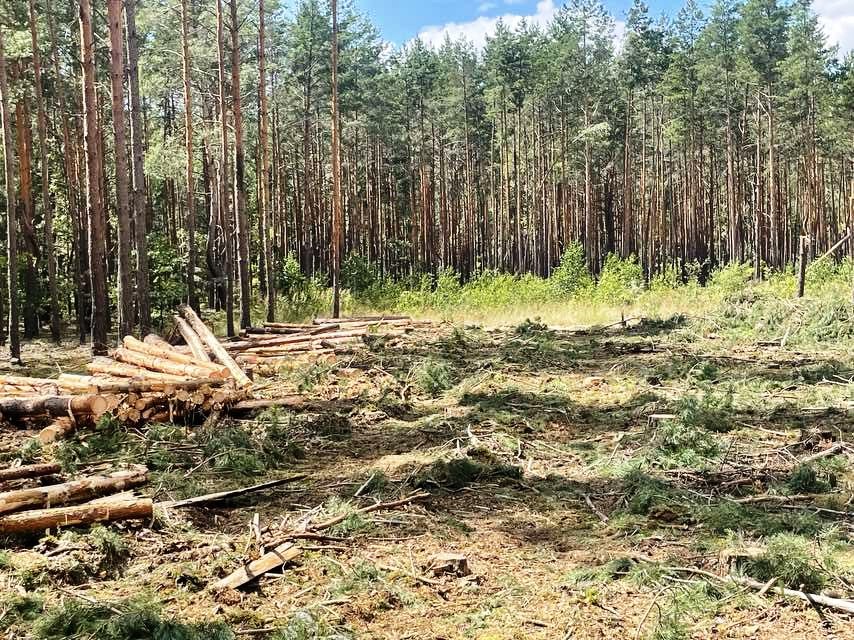 УСТРАНЕНИЕ ПОСЛЕДСТВИЙ НЕПОГОДЫ