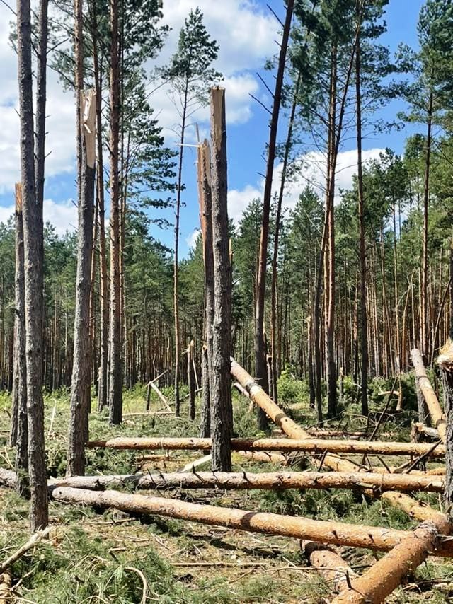 УСТРАНЕНИЕ ПОСЛЕДСТВИЙ НЕПОГОДЫ