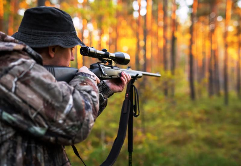 ОТКРЫТИЕ ЗАГОНОЙ ОХОТЫ