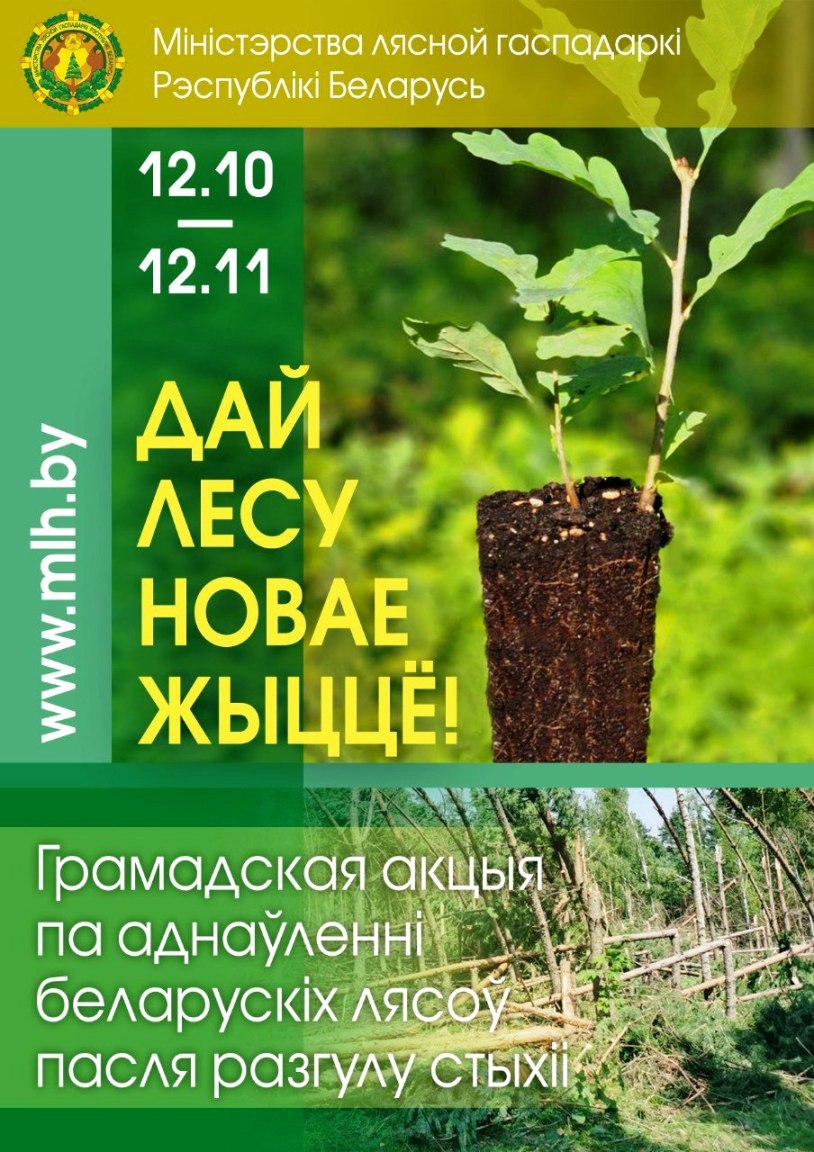 ДАЙ ЛЕСУ НОВАЕ ЖЫЦЦЁ!