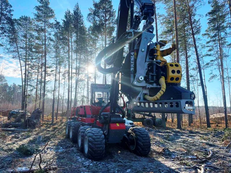 В СТАРОБИНСКОМ ЛЕСХОЗЕ НА ОДНУ МАШИНУ СТАЛО БОЛЬШЕ!