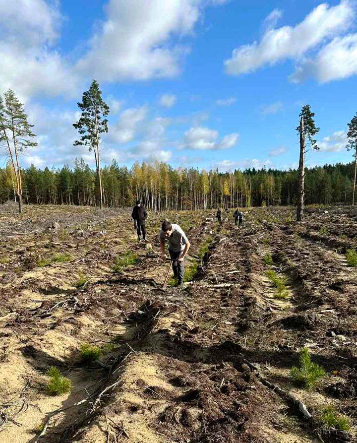 ИТОГИ АКЦИИ «ДАЙ ЛЕСУ НОВАЕ ЖЫЦЦЁ!»