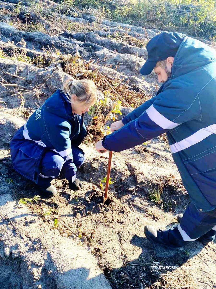 Работники филиала Солигорскгаз приняли участие в республиканской добровольной акции «Дай лесу новае жыцце!»