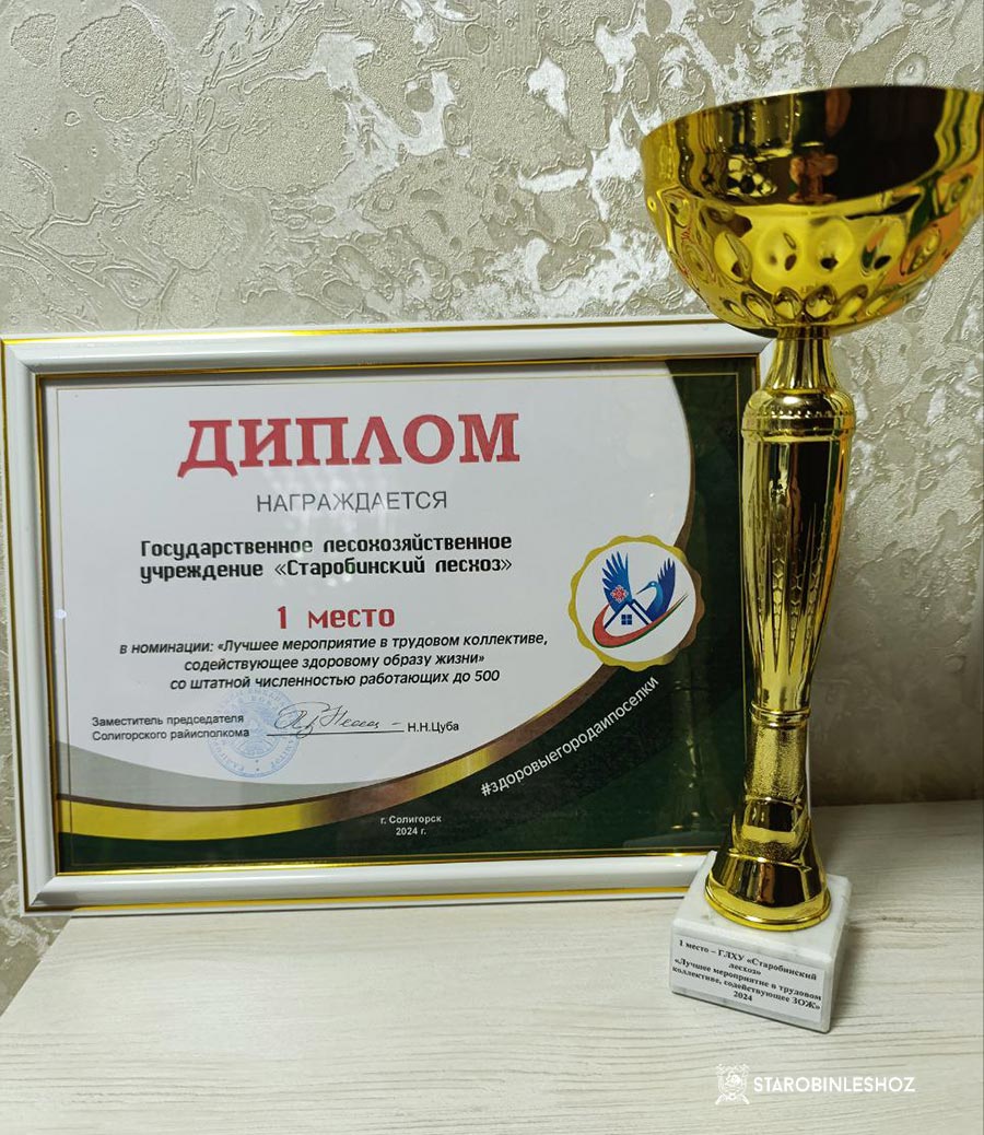 ЛУЧШАЯ ОРГАНИЗАЦИЯ РАБОТЫ ПО ФОРМИРОВАНИЮ ЗДОРОВОГО ОБРАЗА ЖИЗНИ