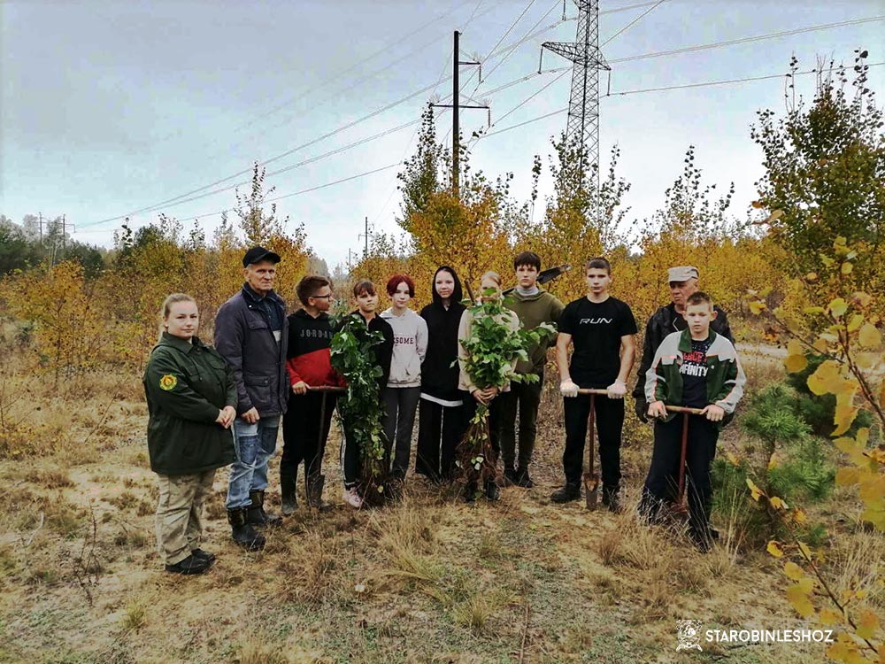 «ДАЙ ЛЕСУ НОВАЕ ЖЫЦЦЁ!»