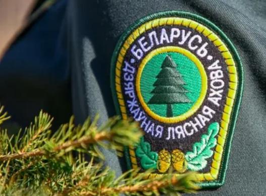 Усиленный режим охраны лесов вводится в Старобинском лесхозе