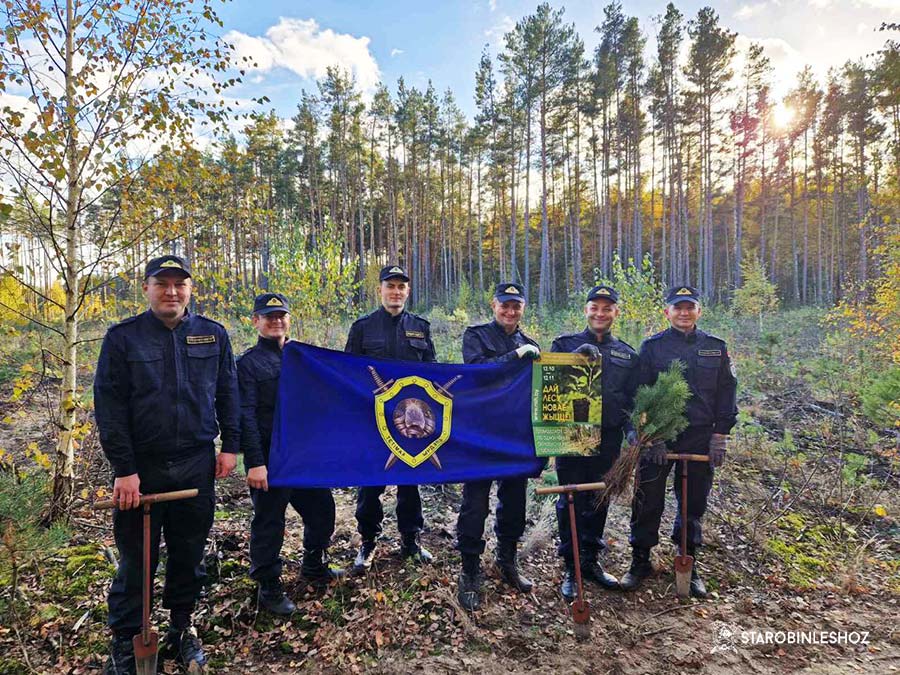 "ДАЙ ЛЕСУ НОВАЕ ЖЫЦЦЁ!"
