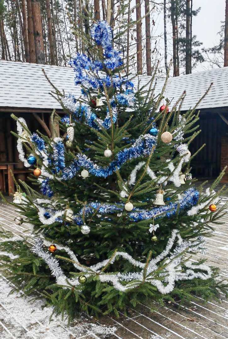 Новогоднее представление