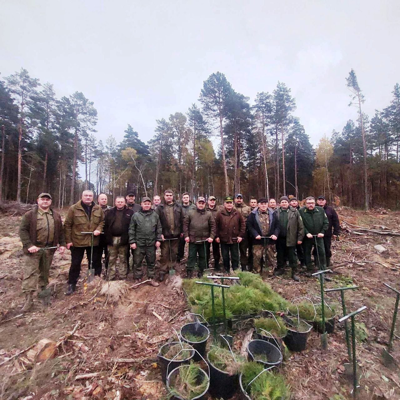 Сегодня на базе Жлобинского лесхоза состоялось выездное заседание штаба Минского ГПЛХО по разработке ветровально-буреломных насаждений.
