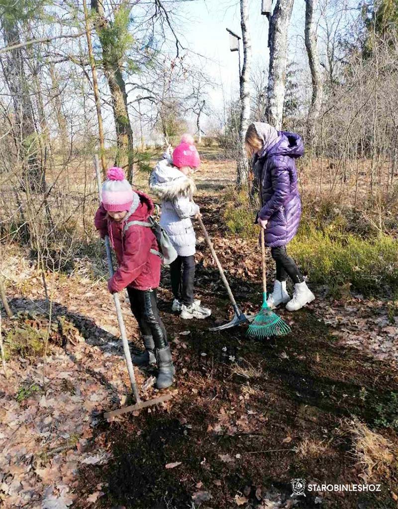 НАВЕДЕНИЕ ПОРЯДКА