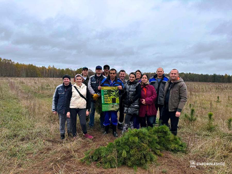АКЦИЯ ДАЙ ЛЕСУ НОВАЕ ЖЫЦЦЁ! ПРОДОЛЖАЕТСЯ