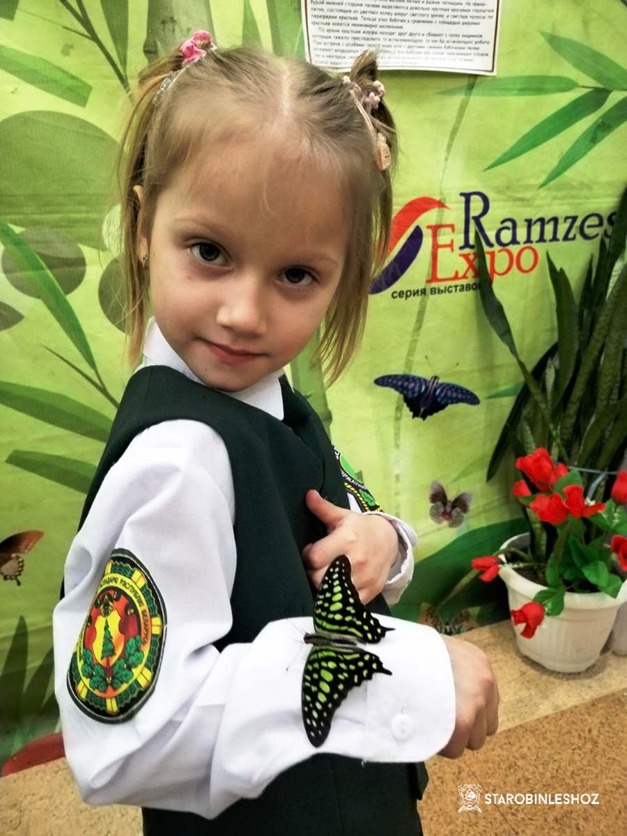 ЭКСКУРСИЯ ДЛЯ ЮНЫХ ЛЕСОВОДОВ