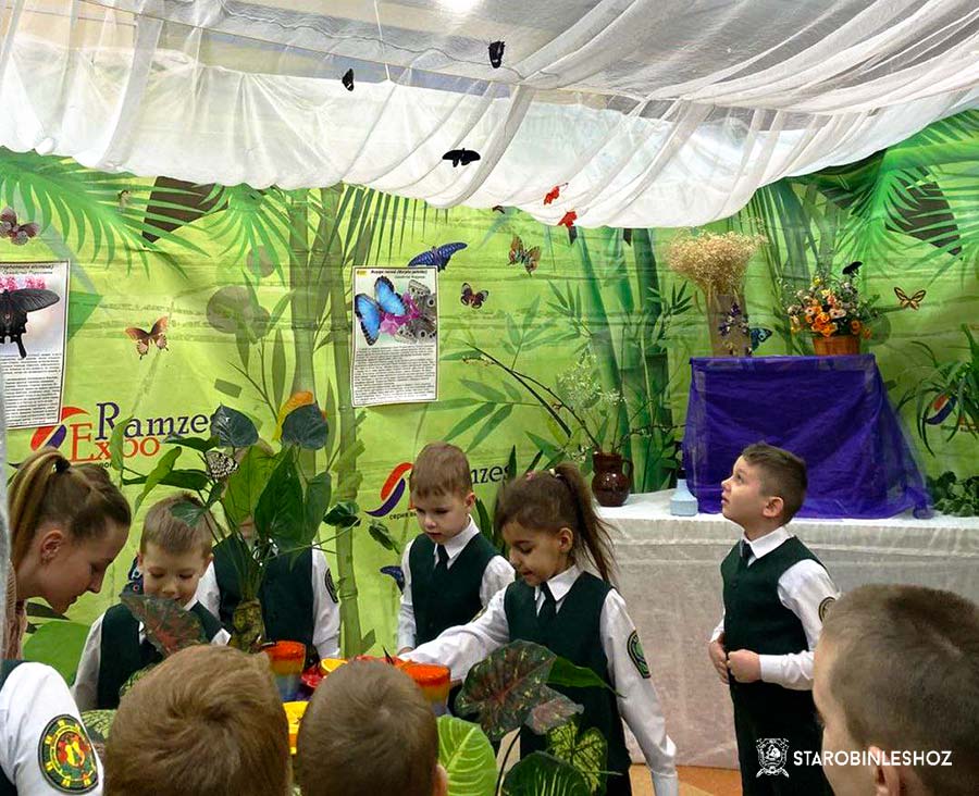 ЭКСКУРСИЯ ДЛЯ ЮНЫХ ЛЕСОВОДОВ