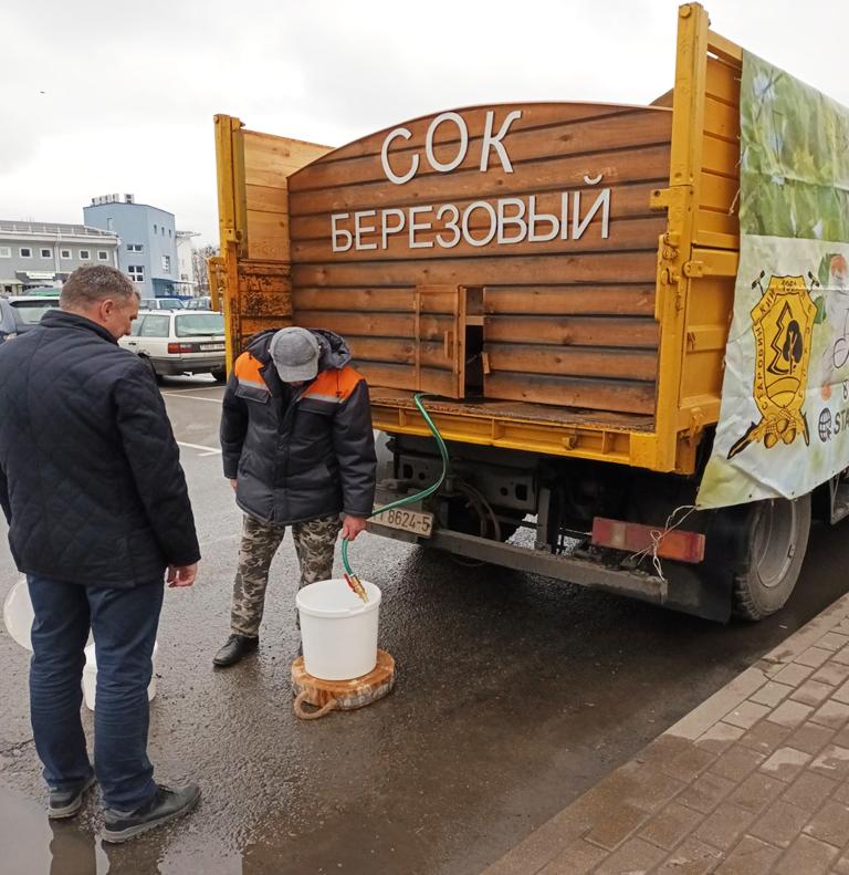 ЗАГОТОВКА БЕРЕЗОВОГО СОКА