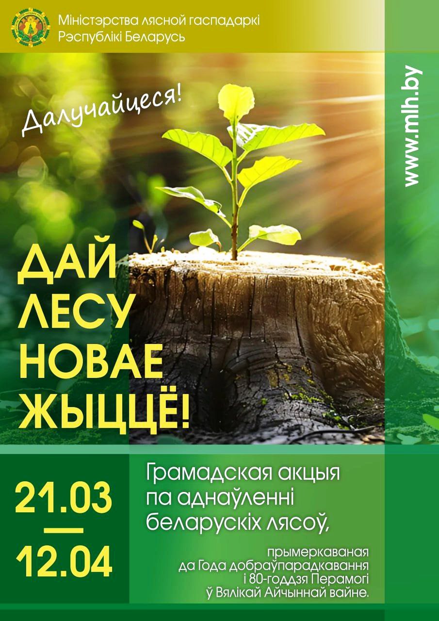 АКЦИЯ ДАЙ ЛЕСУ НОВАЕ ЖЫЦЦЁ!