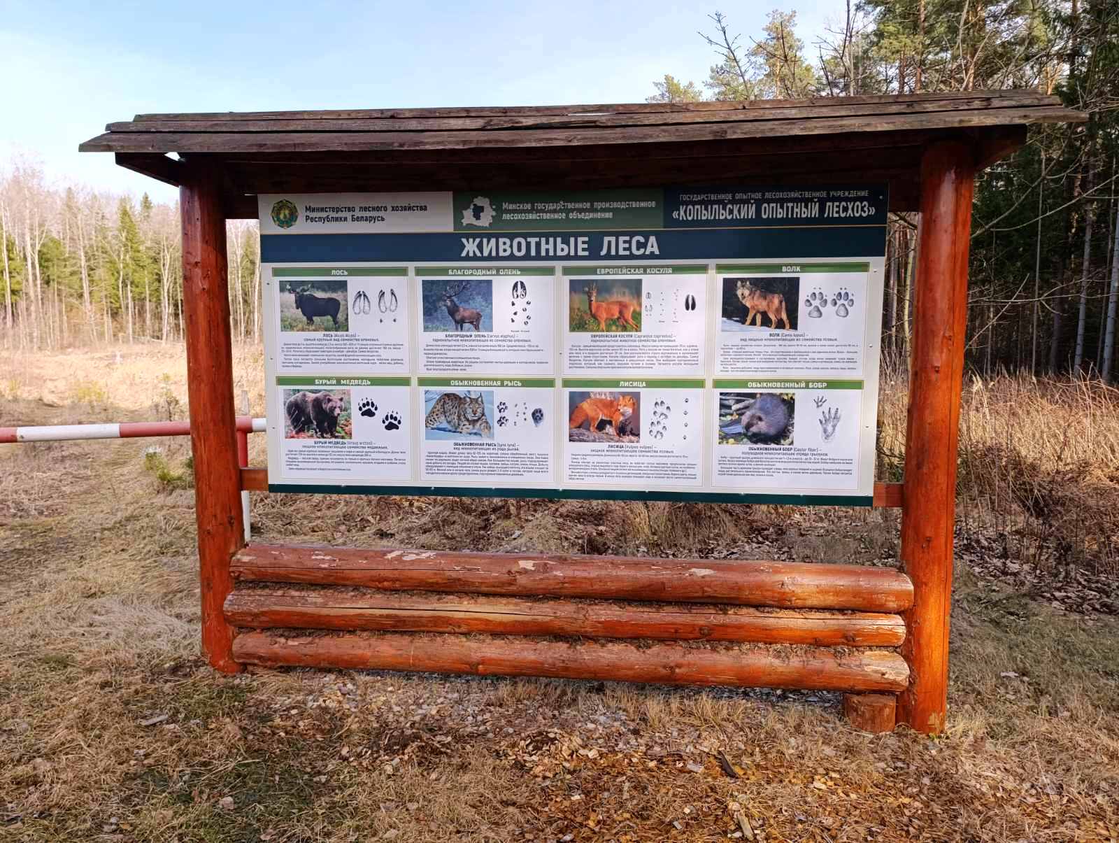 ВЫЕЗДНОЙ СЕМИНАР ПО ВОПРОСАМ БЛАГОУСТРОЙСТВА И РАЗВИТИЯ ЭКОЛОГИЧЕСКОГО ТУРИЗМА