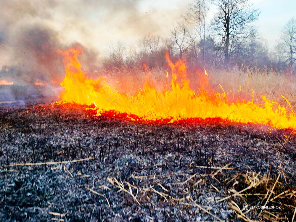 БОРЬБА С ОГНЁМ 