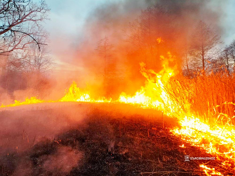 БОРЬБА С ОГНЁМ 