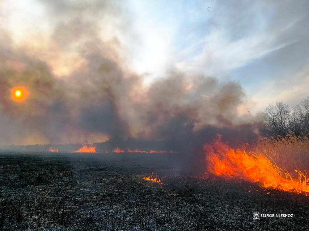 БОРЬБА С ОГНЁМ 