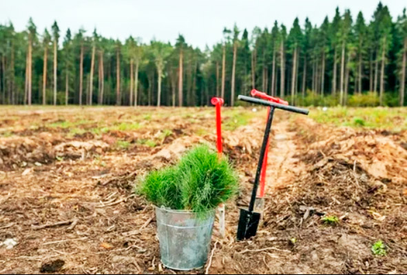 КОНКУРС НА ЛУЧШЕЕ ФОТО АКЦИИ "ДАЙ ЛЕСУ НОВАЕ ЖЫЦЦЁ!"