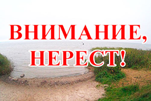 СКМ «Нерест»