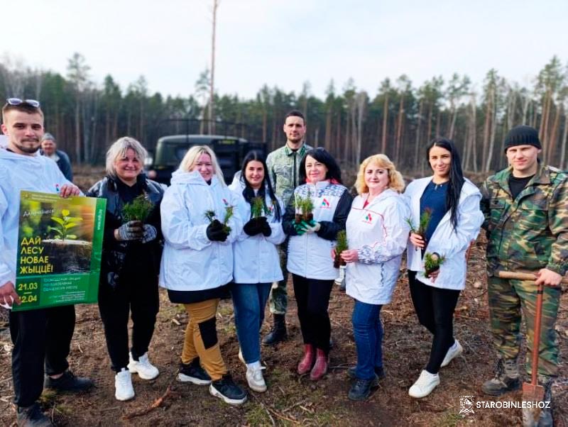 АКТИВ ПЕРВИЧНОЙ ОРГАНИЗАЦИИ «БЕЛАЯ РУСЬ» СОЛИГОРСКОЙ ЦРБ ПРИНЯЛИ УЧАСТИЕ В ДОБРОВОЛЬНОЙ ОБЩЕСТВЕННОЙ АКЦИИ «ДАЙ ЛЕСУ НОВАЕ ЖЫЦЦЁ!»