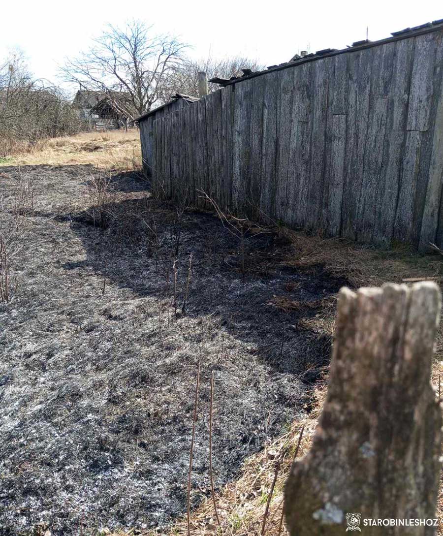 возгорание вблизи лесного фонда Хоростовского лесничества