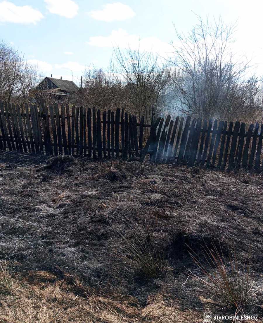 возгорание вблизи лесного фонда Хоростовского лесничества