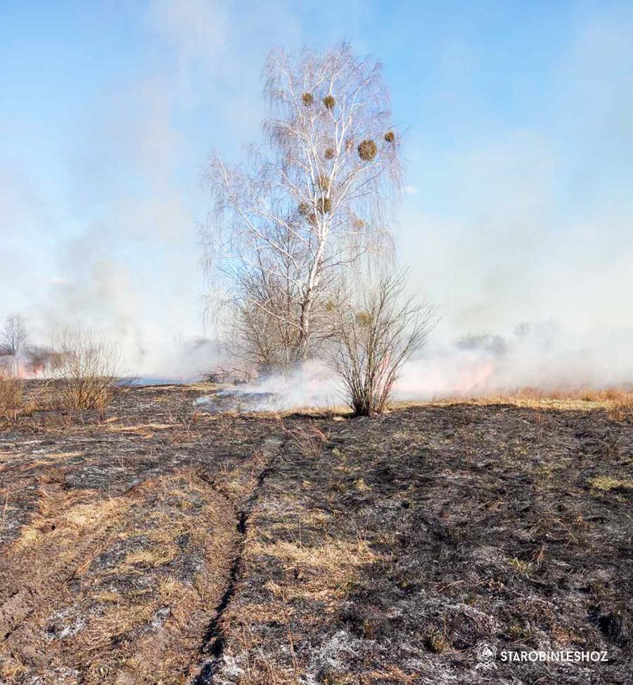возгорание вблизи лесного фонда Хоростовского лесничества