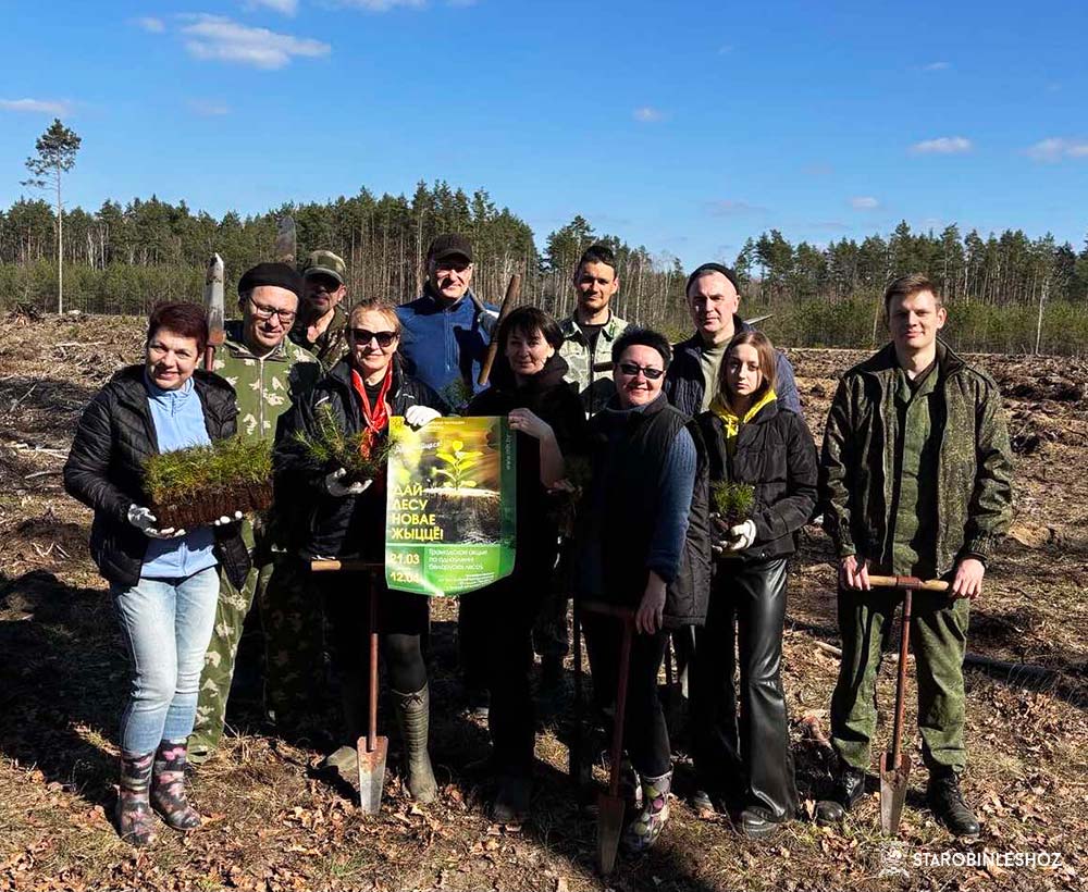 ОРГАНИЗАЦИИ И ПРЕДПРИЯТИЯ СОЛИГОРСКОГО РАЙОНА АКТИВНО ПРИНИМАЮТ УЧАСТИЕ В ДОБРОВОЛЬНОЙ ОБЩЕСТВЕННОЙ АКЦИИ «ДАЙ ЛЕСУ НОВАЕ ЖЫЦЦЁ!»