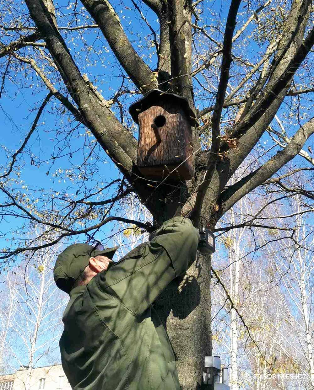 ДОМИК ДЛЯ СКВОРЦА