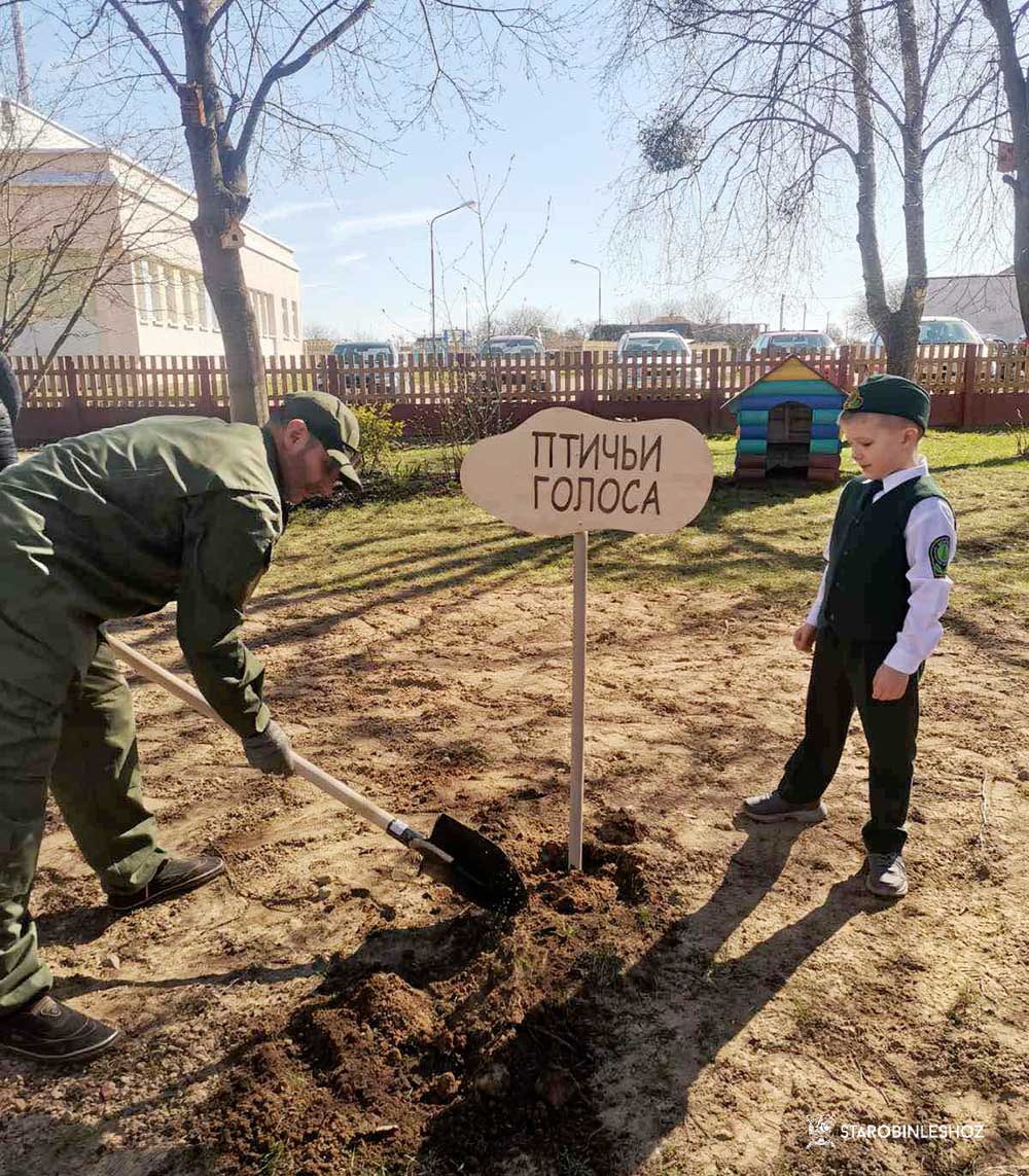 ДОМИК ДЛЯ СКВОРЦА
