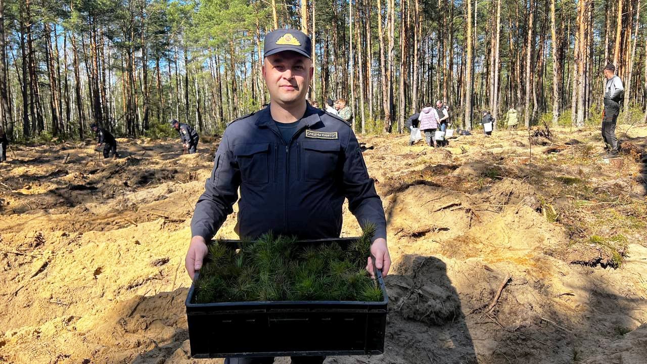 Солигорские следователи, судебные эксперты, работники суда и учащиеся кадетских классов подключились к акции Дай лесу новае жыццё!