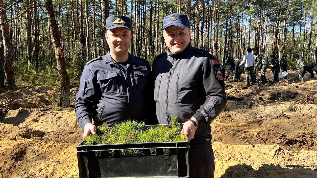 Солигорские следователи, судебные эксперты, работники суда и учащиеся кадетских классов подключились к акции Дай лесу новае жыццё!