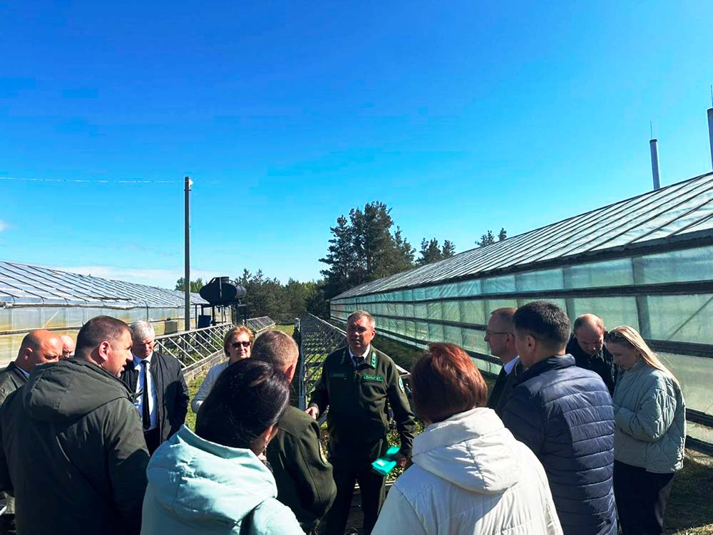 Сегодня на базе Любанского лесхоза состоялось областное заседание коллегии