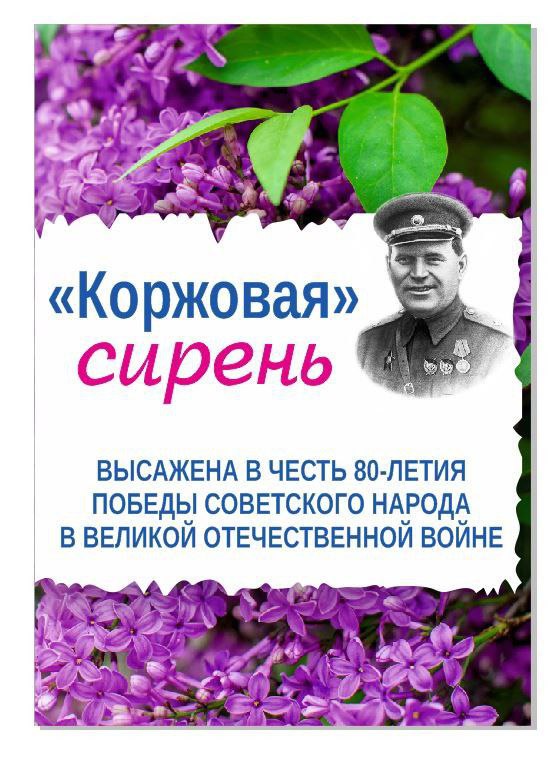 «И ОПЯТЬ ЗАЦВЕТАЕТ СИРЕНЬ 45-ГО ГОДА»