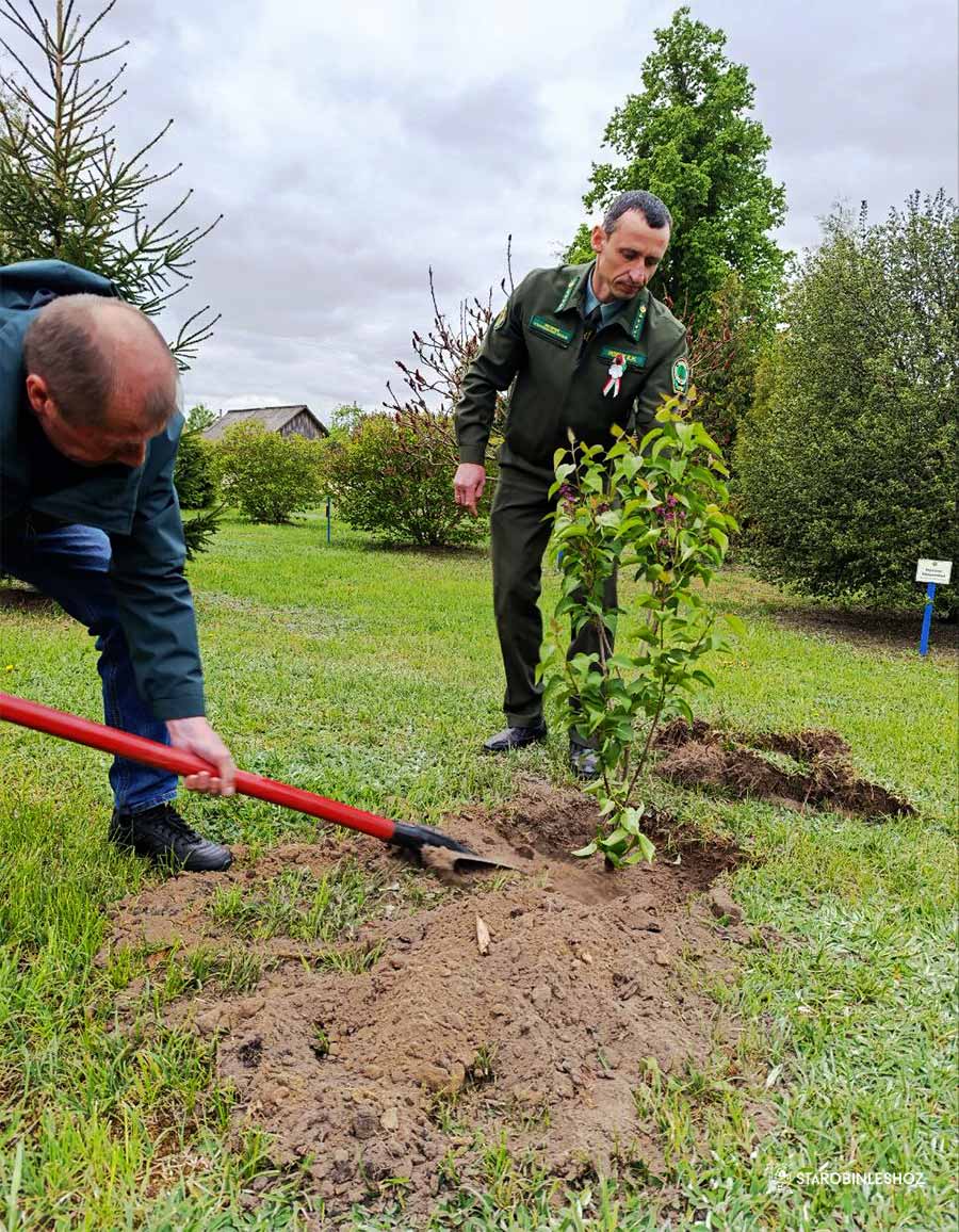 И ОПЯТЬ ЗАЦВЕТАЕТ СИРЕНЬ 45-ГО ГОДА
