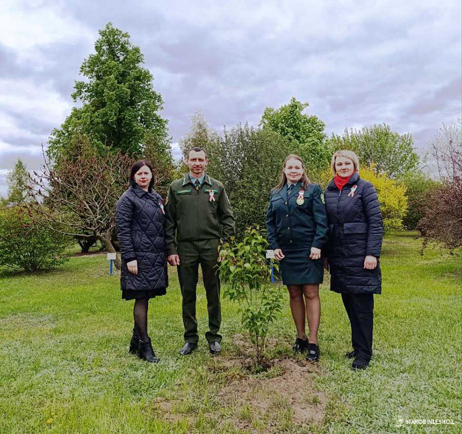 И ОПЯТЬ ЗАЦВЕТАЕТ СИРЕНЬ 45-ГО ГОДА