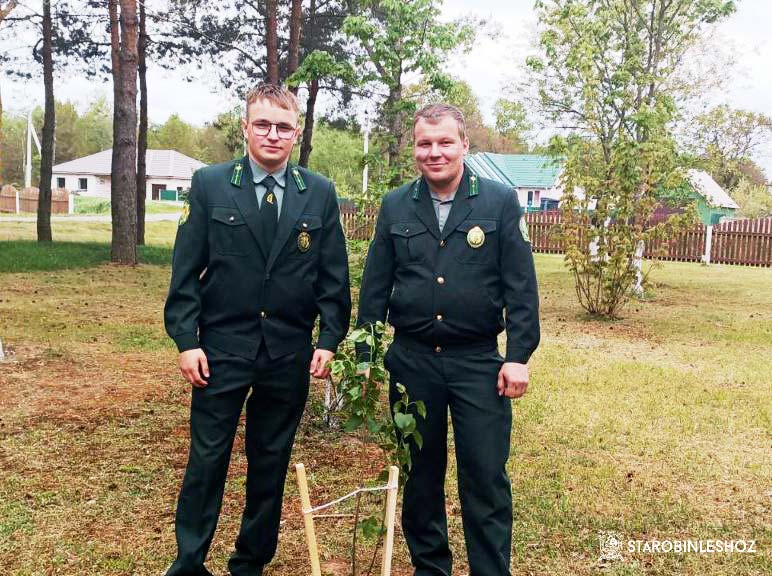 И ОПЯТЬ ЗАЦВЕТАЕТ СИРЕНЬ 45-ГО ГОДА
