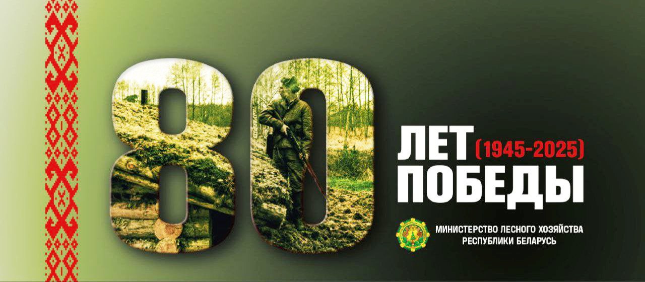 Александр Кулик поздравил ветеранов и работников лесного хозяйства с Днем Победы