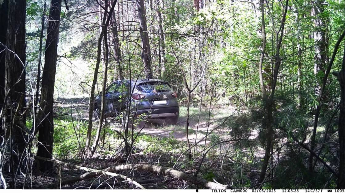 СОБЛЮДАЙТЕ ТРЕБОВАНИЯ ПОЖАРНОЙ БЕЗОПАСНОСТИ В ЛЕСАХ!