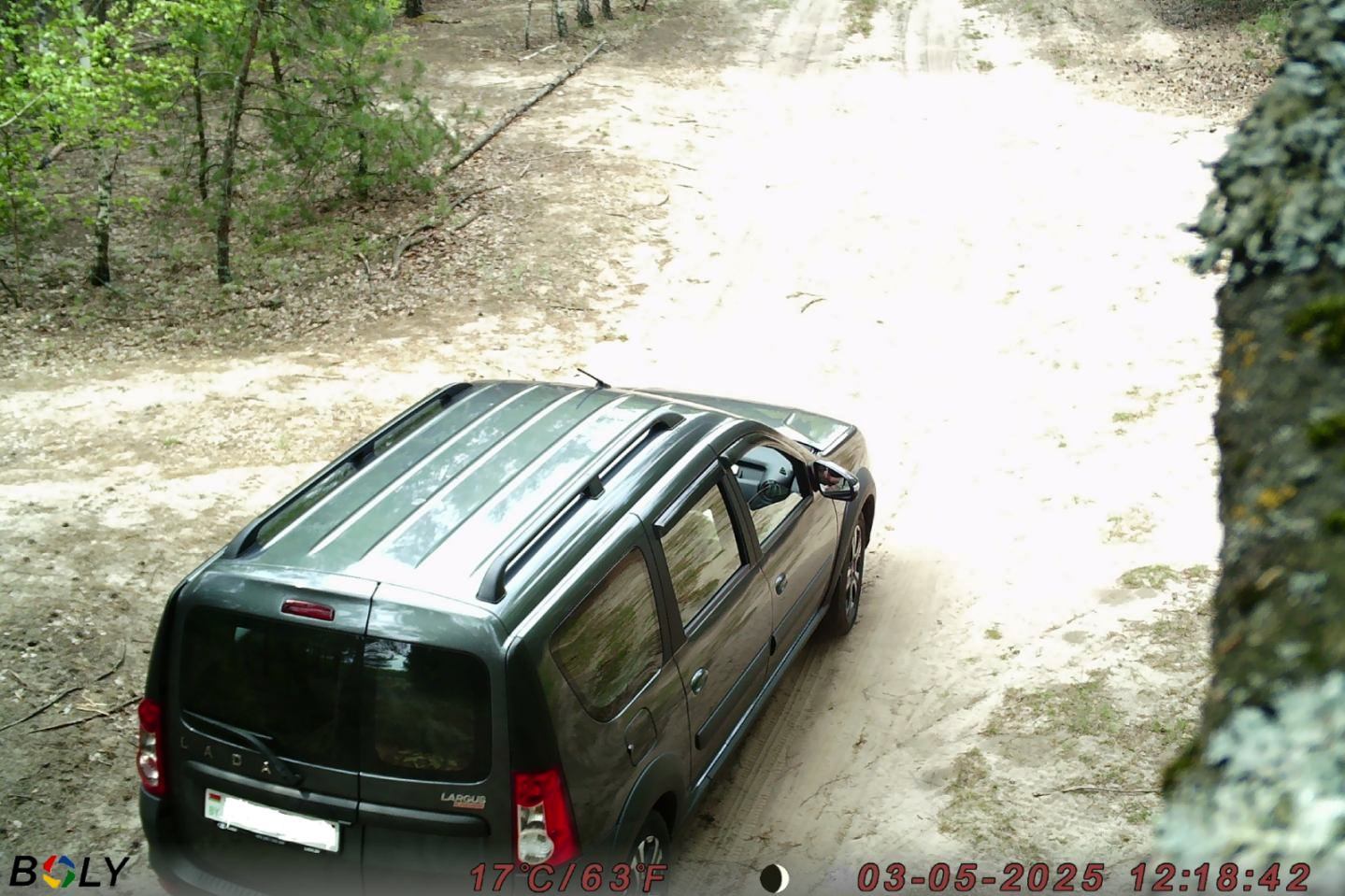 СОБЛЮДАЙТЕ ТРЕБОВАНИЯ ПОЖАРНОЙ БЕЗОПАСНОСТИ В ЛЕСАХ!!!