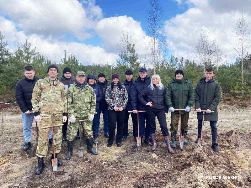 ОБЩЕСТВЕННАЯ АКЦИЯ «ДАЙ ЛЕСУ НОВОЕ ЖЫЦЦЕ!»