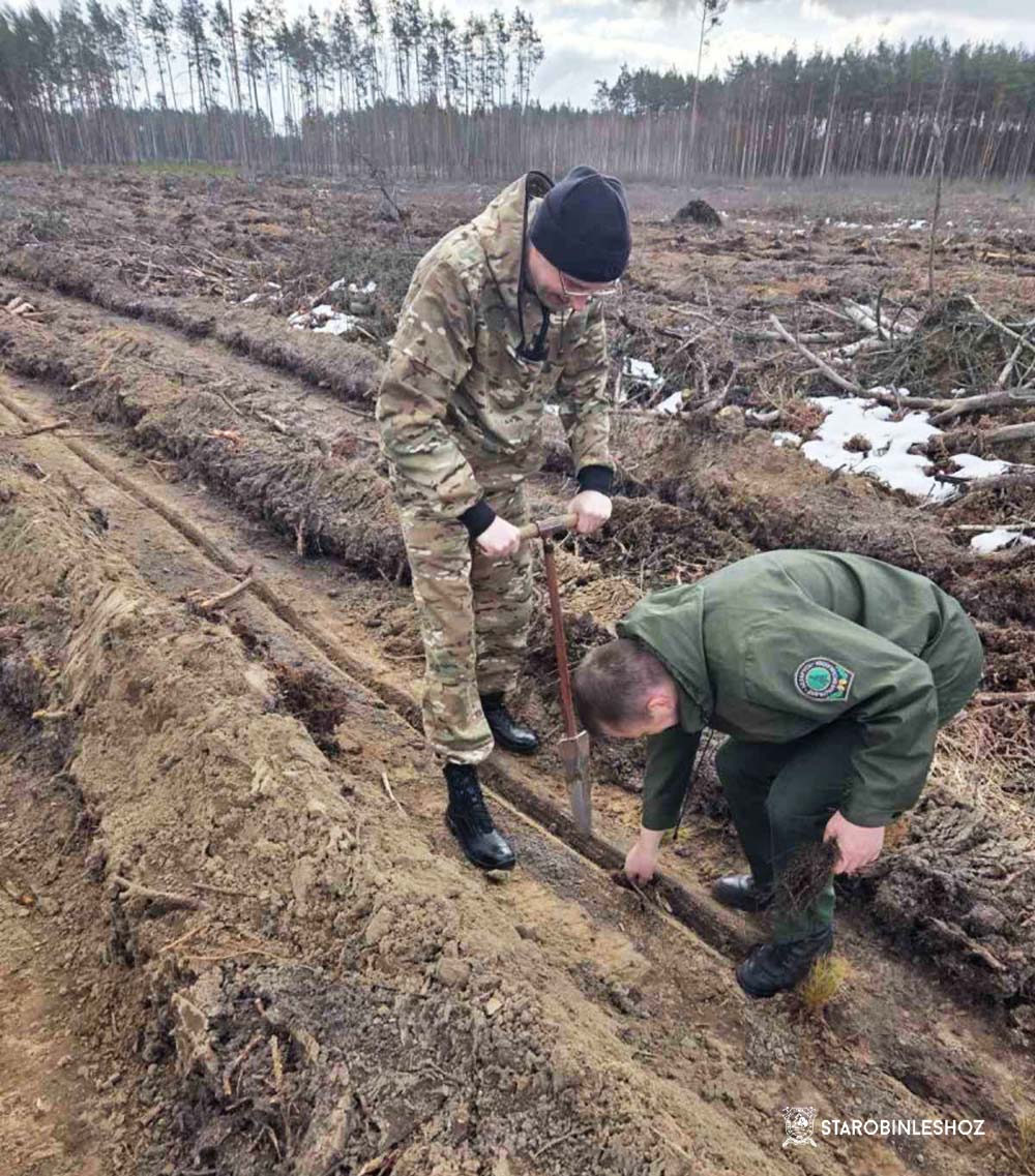 РАБОТНИКИ ПРОКУРАТУРЫ СОЛИГОРСКОГО РАЙОНА ВМЕСТЕ С СОТРУДНИКАМИ СОЛИГОРСКОГО  МЕЖРАЙОННОГО ОТДЕЛА КОМИТЕТА ГОСУДАРСТВЕННОГО КОНТРОЛЯ РЕСПУБЛИКИ БЕЛАРУСЬ  И СОЛИГОРСКОГО МЕЖРАЙОННОГО ОТДЕЛА ДЕПАРТАМЕНТА ФИНАНСОВЫХ РАССЛЕДОВАНИЙ КГК РЕСПУБЛИКИ БЕЛАРУСЬ ПО МИНСКОЙ ОБЛАСТИ И ГОРОДА МИНСКА ПРИНЯЛИ УЧАСТИЕ В РЕСПУБЛИКАНСКОЙ  ОБЩЕСТВЕННОЙ АКЦИИ «ДАЙ ЛЕСУ НОВОЕ ЖЫЦЦЕ!».