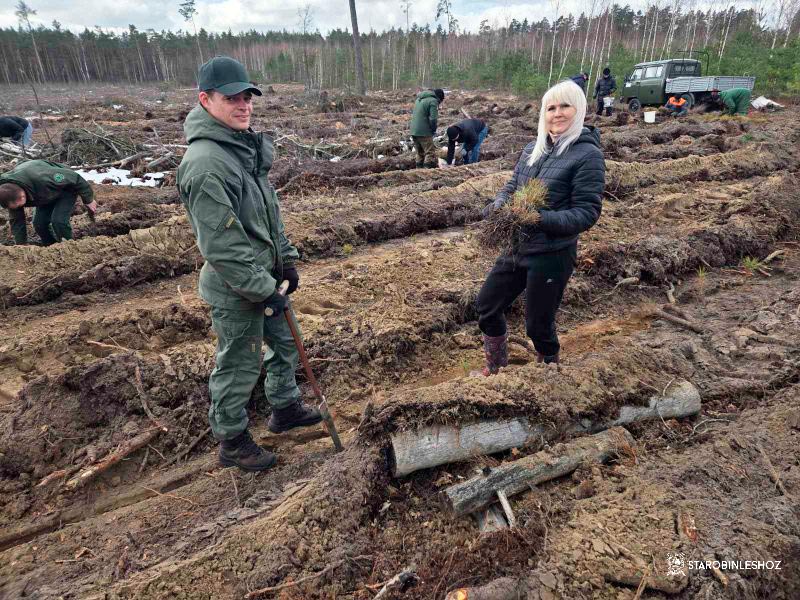 РАБОТНИКИ ПРОКУРАТУРЫ СОЛИГОРСКОГО РАЙОНА ВМЕСТЕ С СОТРУДНИКАМИ СОЛИГОРСКОГО  МЕЖРАЙОННОГО ОТДЕЛА КОМИТЕТА ГОСУДАРСТВЕННОГО КОНТРОЛЯ РЕСПУБЛИКИ БЕЛАРУСЬ  И СОЛИГОРСКОГО МЕЖРАЙОННОГО ОТДЕЛА ДЕПАРТАМЕНТА ФИНАНСОВЫХ РАССЛЕДОВАНИЙ КГК РЕСПУБЛИКИ БЕЛАРУСЬ ПО МИНСКОЙ ОБЛАСТИ И ГОРОДА МИНСКА ПРИНЯЛИ УЧАСТИЕ В РЕСПУБЛИКАНСКОЙ  ОБЩЕСТВЕННОЙ АКЦИИ «ДАЙ ЛЕСУ НОВОЕ ЖЫЦЦЕ!».